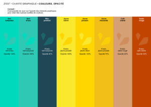 ZEST Charte graphique 13